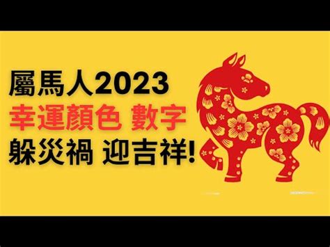 屬馬幸運數字|屬馬的幸運數字是什麼？揭開生肖馬的數字奧秘